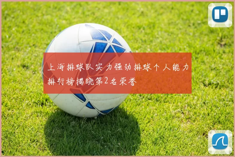 上海排球队实力强劲排球个人能力排行榜揭晓第2名荣誉