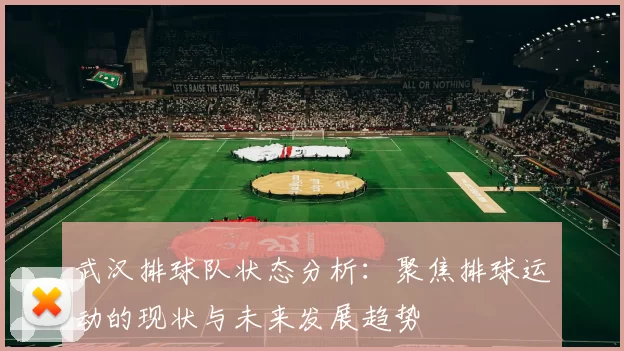 武汉排球队状态分析：聚焦排球运动的现状与未来发展趋势