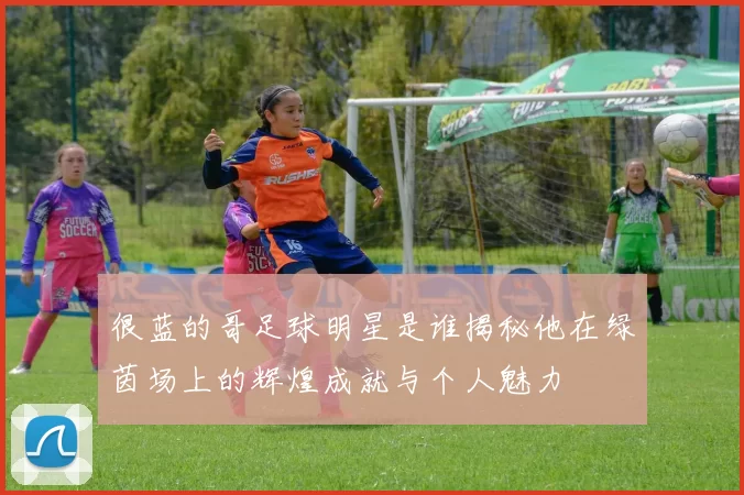 很蓝的哥足球明星是谁揭秘他在绿茵场上的辉煌成就与个人魅力
