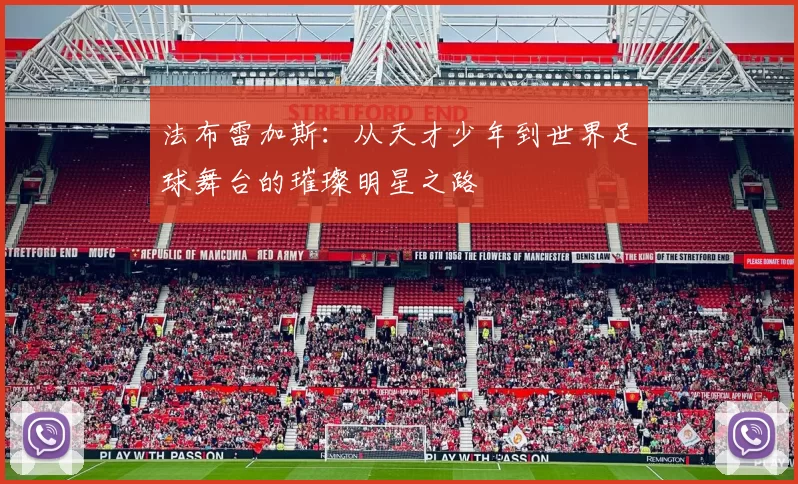 法布雷加斯：从天才少年到世界足球舞台的璀璨明星之路