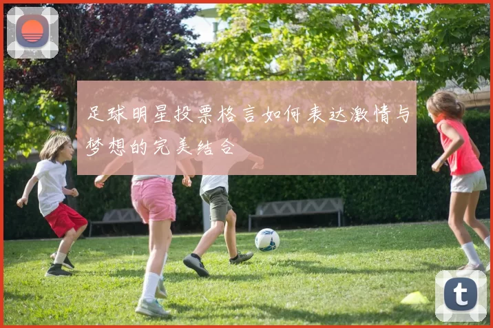 足球明星投票格言如何表达激情与梦想的完美结合
