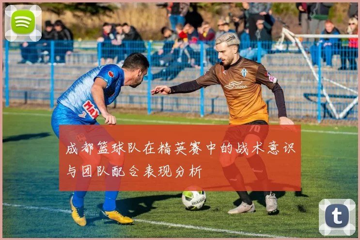 成都篮球队在精英赛中的战术意识与团队配合表现分析