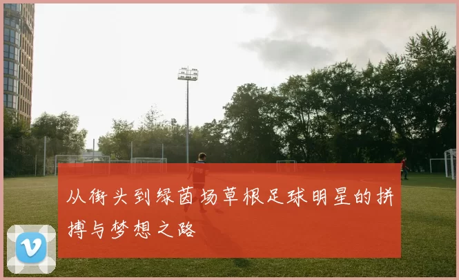 从街头到绿茵场草根足球明星的拼搏与梦想之路