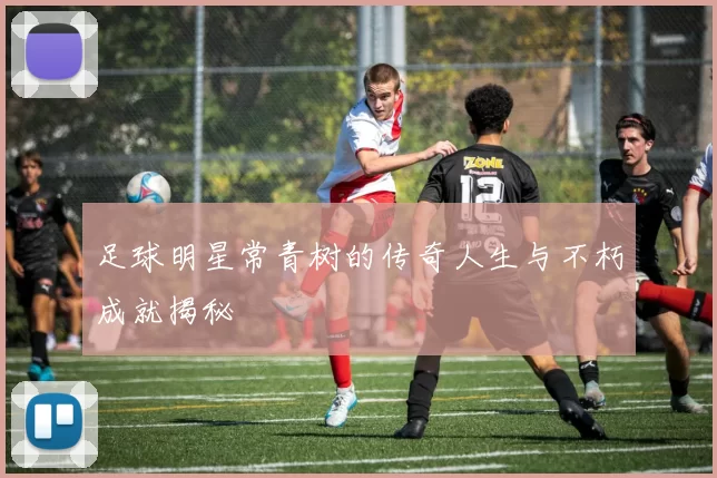 足球明星常青树的传奇人生与不朽成就揭秘