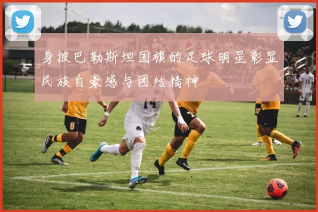 身披巴勒斯坦国旗的足球明星彰显民族自豪感与团结精神