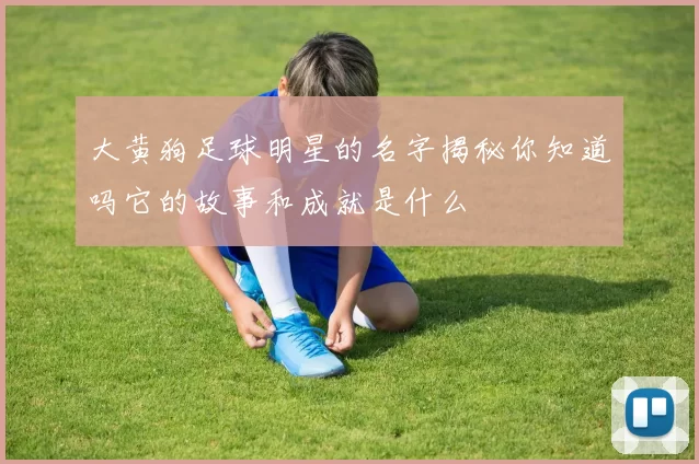 大黄狗足球明星的名字揭秘你知道吗它的故事和成就是什么