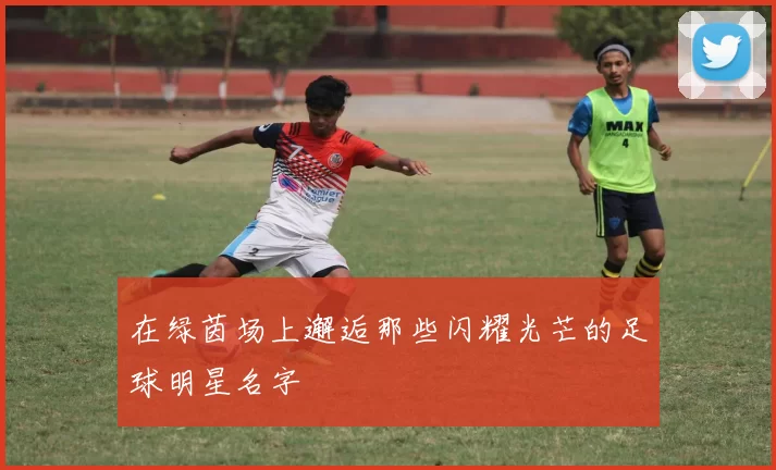 在绿茵场上邂逅那些闪耀光芒的足球明星名字