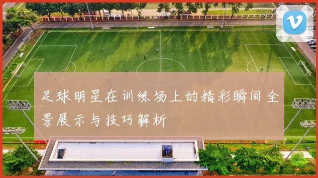 足球明星在训练场上的精彩瞬间全景展示与技巧解析