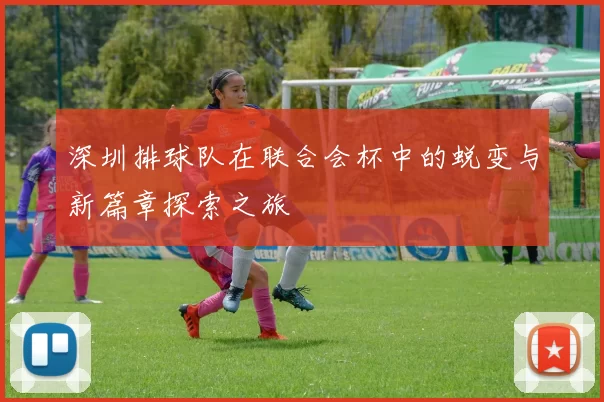 深圳排球队在联合会杯中的蜕变与新篇章探索之旅