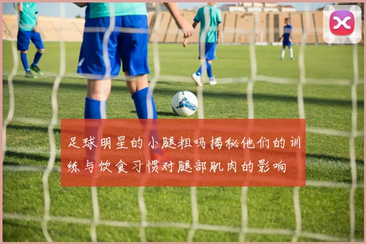 足球明星的小腿粗吗揭秘他们的训练与饮食习惯对腿部肌肉的影响
