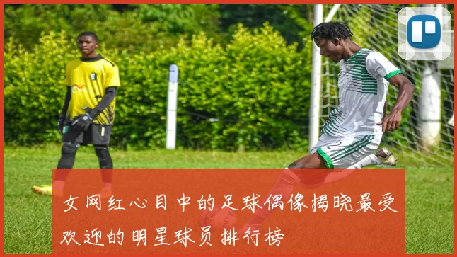 女网红心目中的足球偶像揭晓最受欢迎的明星球员排行榜