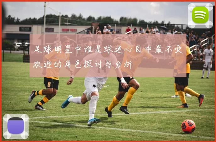 足球明星中谁是球迷心目中最不受欢迎的角色探讨与分析