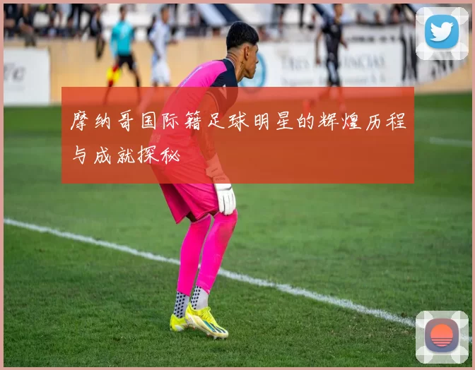 摩纳哥国际籍足球明星的辉煌历程与成就探秘