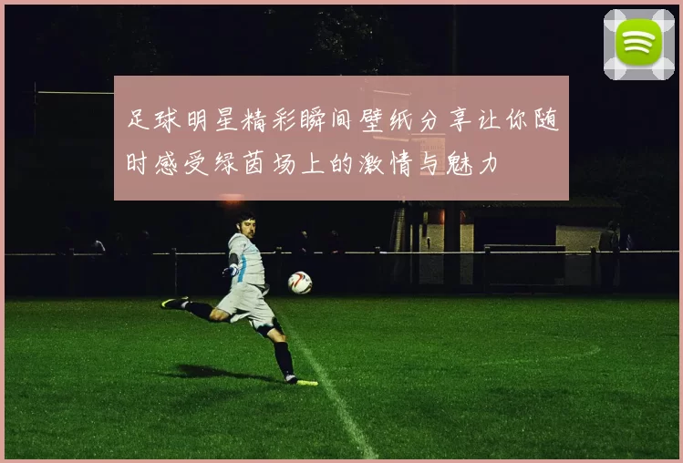 足球明星精彩瞬间壁纸分享让你随时感受绿茵场上的激情与魅力
